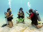 Scuba Diving on Our Honeymoon